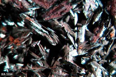 IMS103048TH.jpg (96023 bytes)